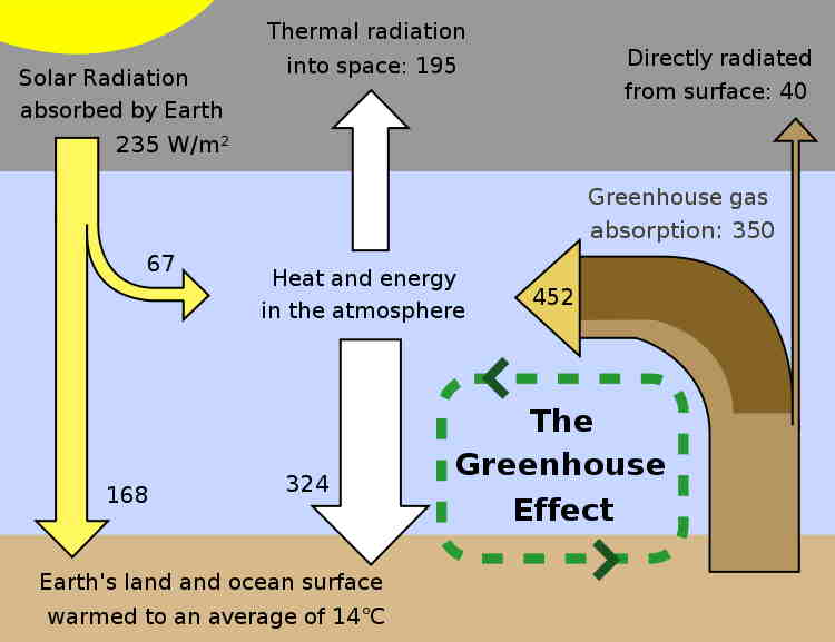 Greenhouse diagram