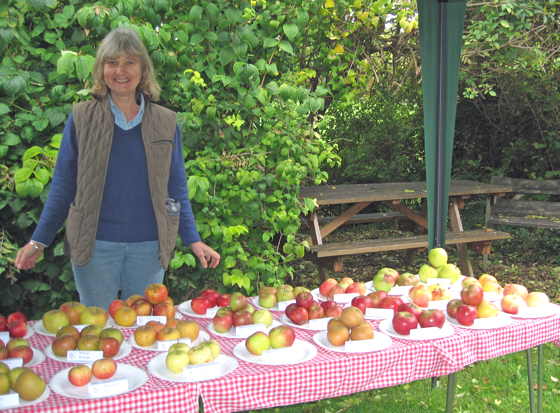 Apple tasting