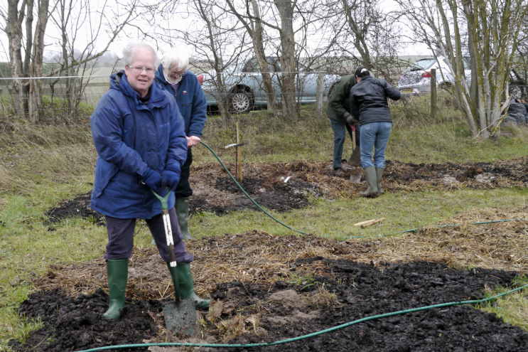 fruit planting