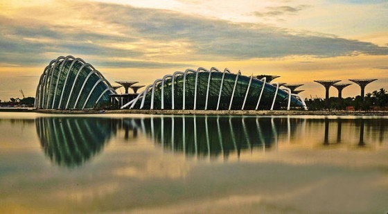 Gardens by the Bay