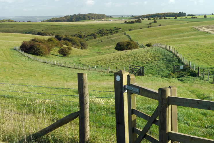 Juniper Valley