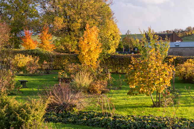 Autumn colours