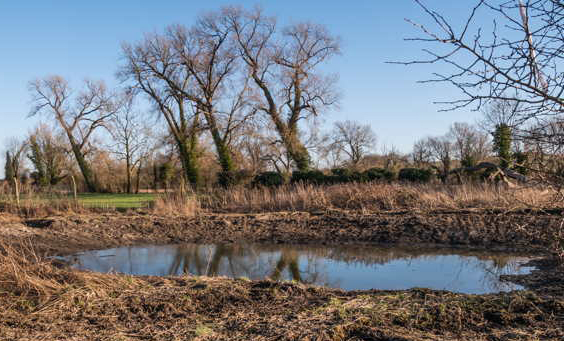 Nature reserve