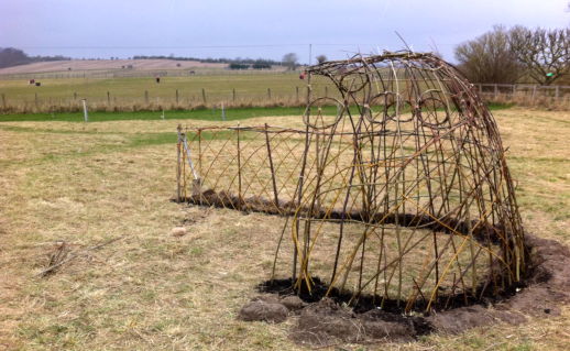 willow shelter