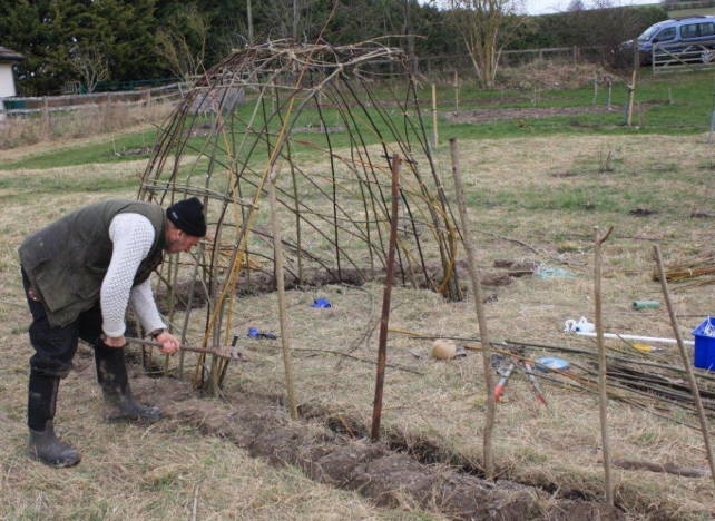 Willow shelter under construction