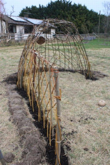 Willow shelter
